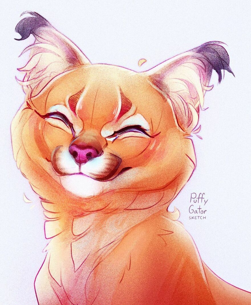 Cute-Animal-Illustrations-Puffygator-Nana-Key