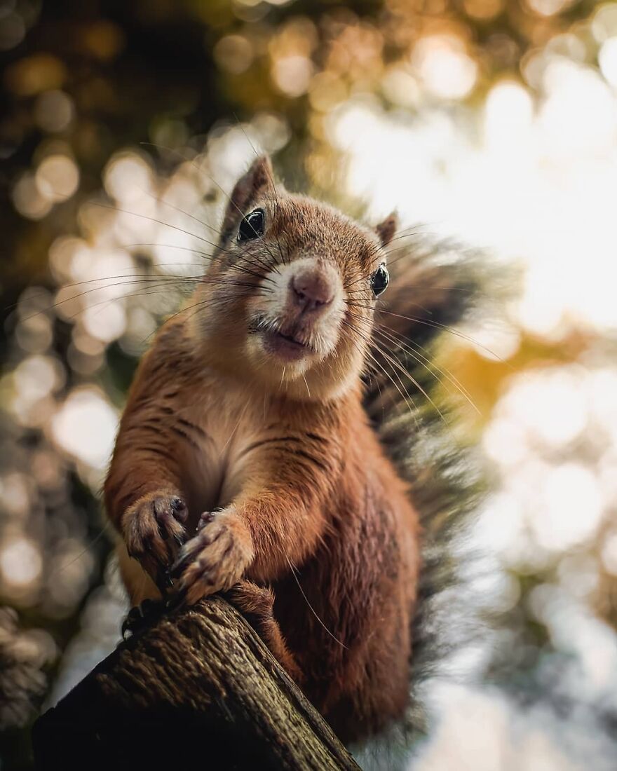 We All Need A Little Monday Cuteness