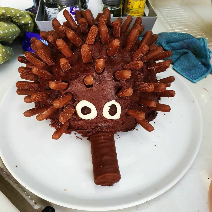 Hedgehog-Cake-Fails