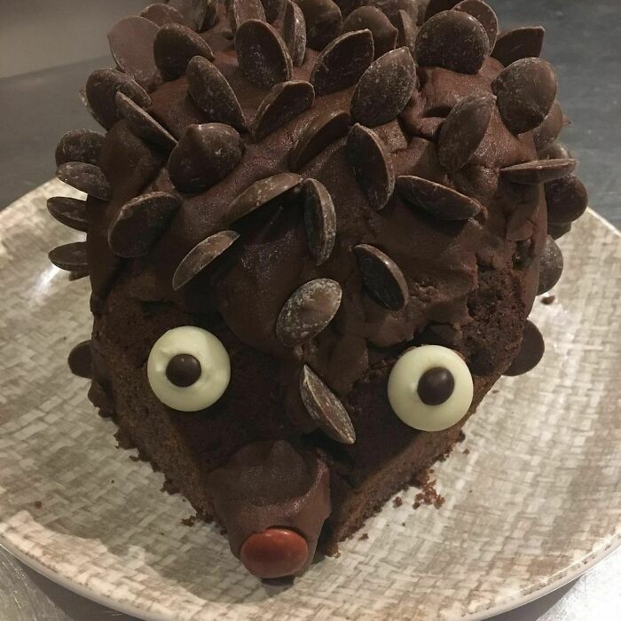 Hedgehog-Cake-Fails
