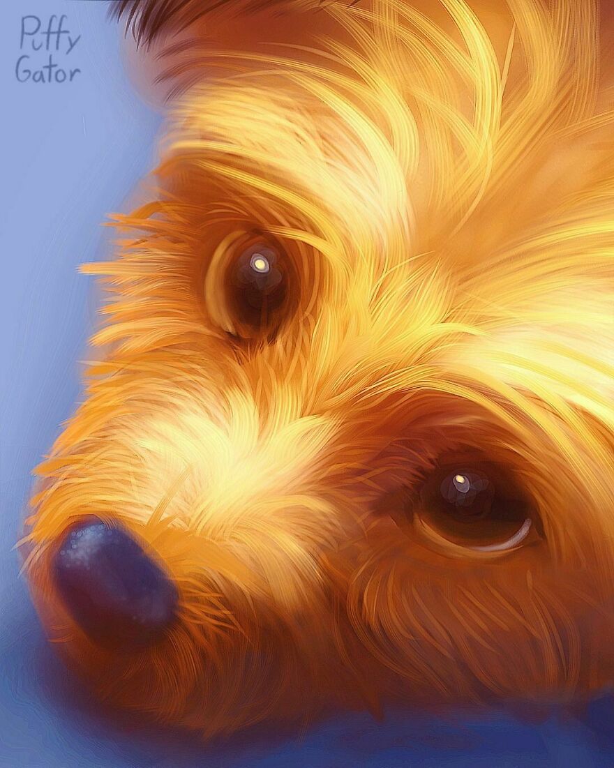 Cute-Animal-Illustrations-Puffygator-Nana-Key