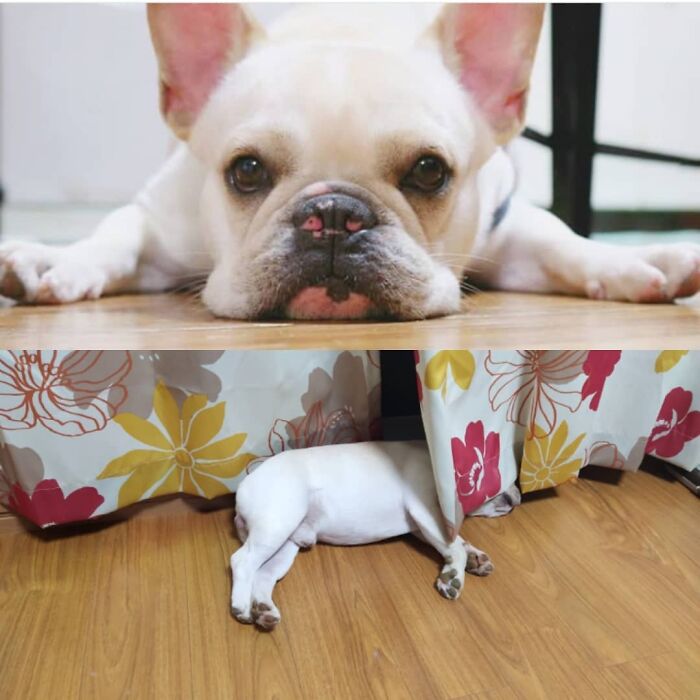 Funny-Instagram-vs.-Reality-Pics