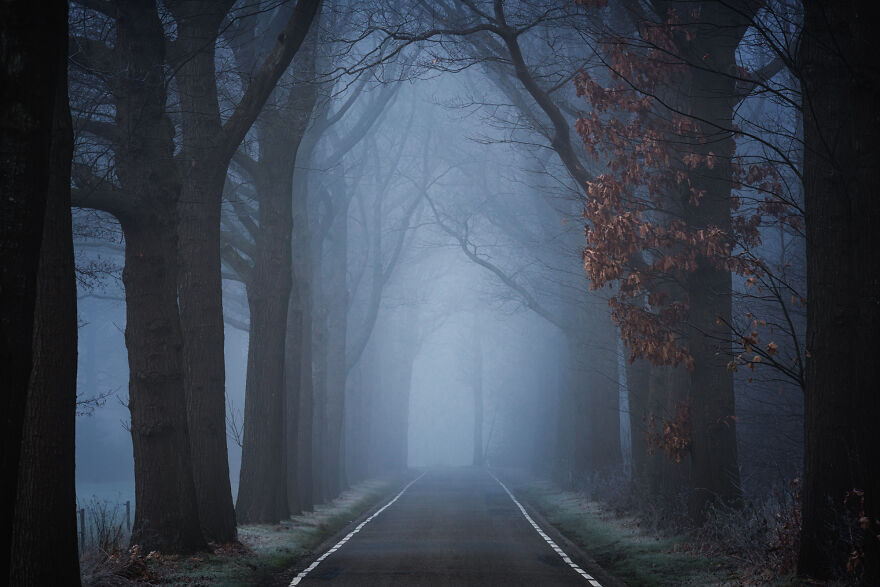 I Photograph Misty Forest Roads