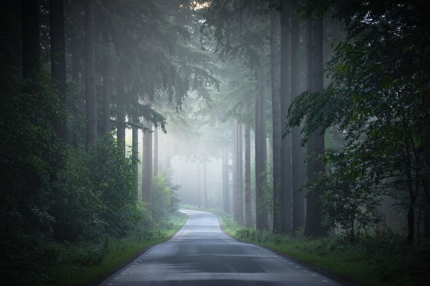 I Photograph Misty Forest Roads