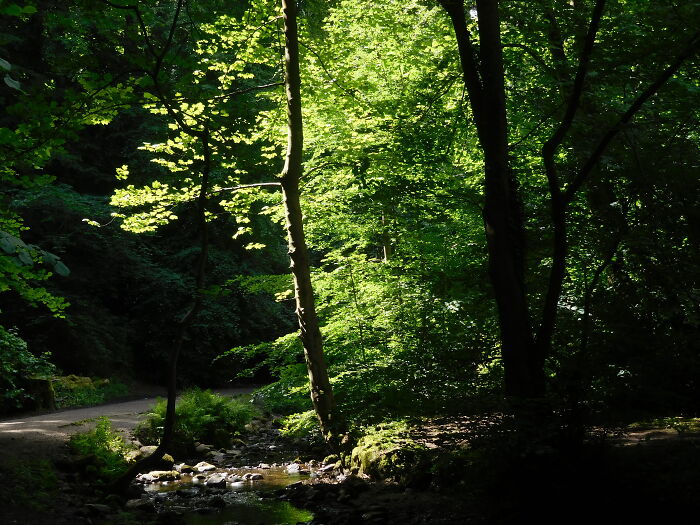 The Hermitage, Edinburgh, Scotland