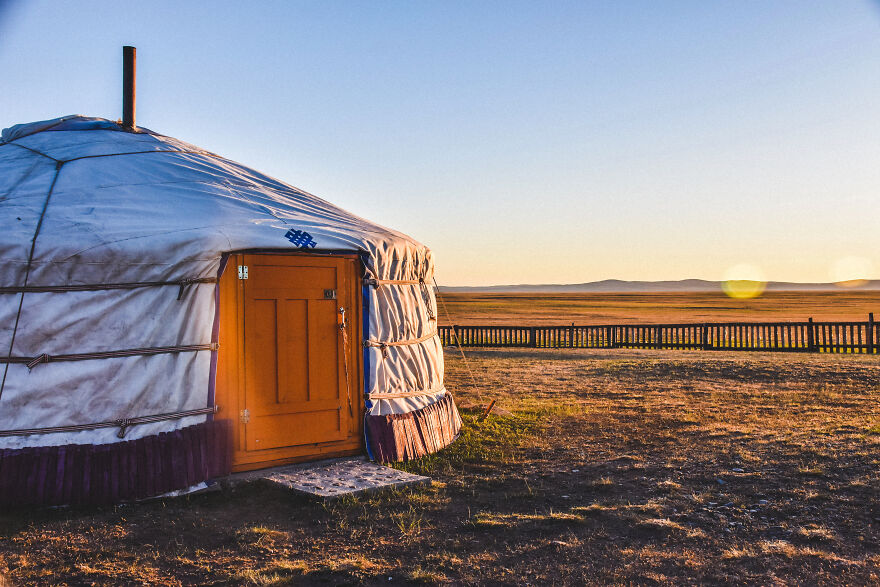 Any Pandas Been To Mongolia?