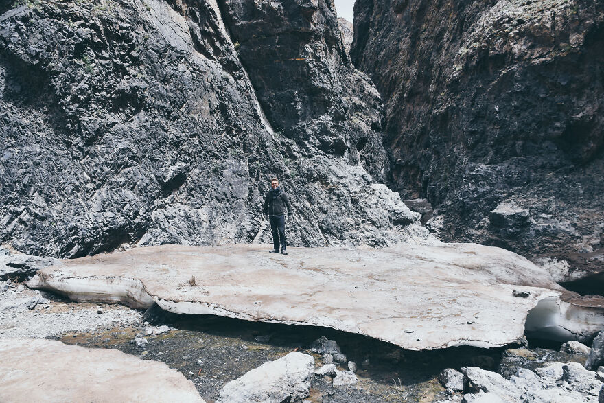 Any Pandas Been To Mongolia?