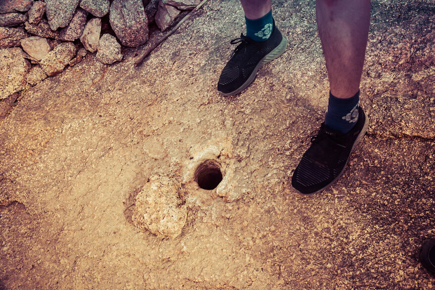 Any Pandas Been To Mongolia?