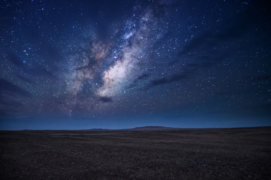 Any Pandas Been To Mongolia?