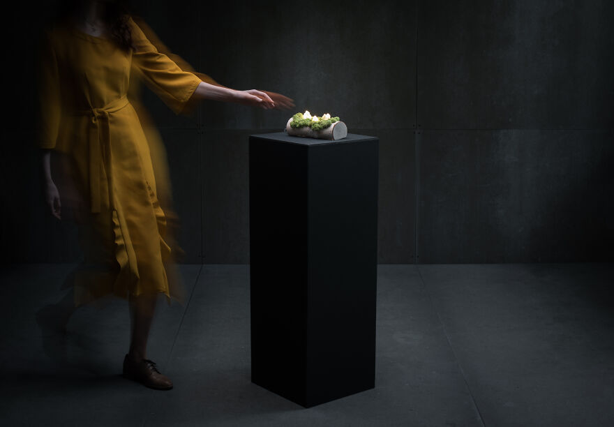 We Craft Unique Night Lamps From Glowing Crystals On Mossy Logs (23 Pics) We Craft Unique Night Lamps From Glowing Crystals On Mossy Logs (23 Pics)