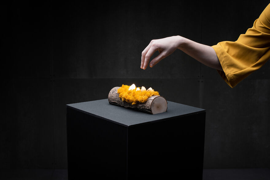 We Craft Unique Night Lamps From Glowing Crystals On Mossy Logs (23 Pics) We Craft Unique Night Lamps From Glowing Crystals On Mossy Logs (23 Pics)