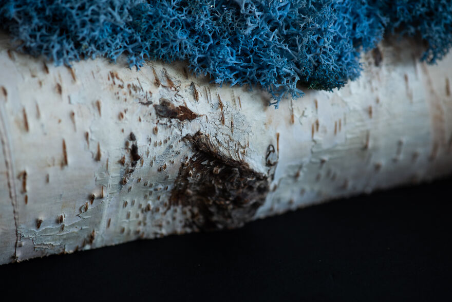 We Craft Unique Night Lamps From Glowing Crystals On Mossy Logs (23 Pics) We Craft Unique Night Lamps From Glowing Crystals On Mossy Logs (23 Pics)