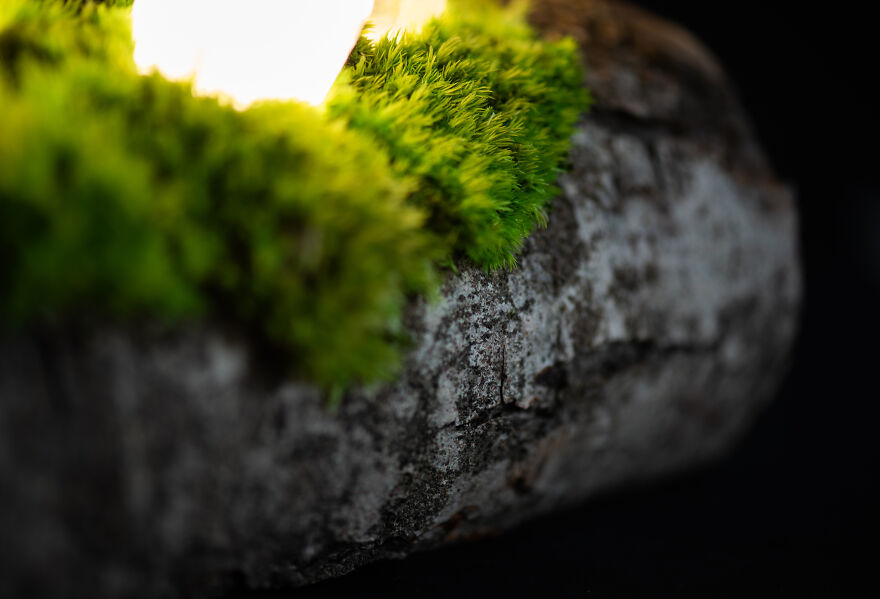 We Craft Unique Night Lamps From Glowing Crystals On Mossy Logs (23 Pics) We Craft Unique Night Lamps From Glowing Crystals On Mossy Logs (23 Pics)