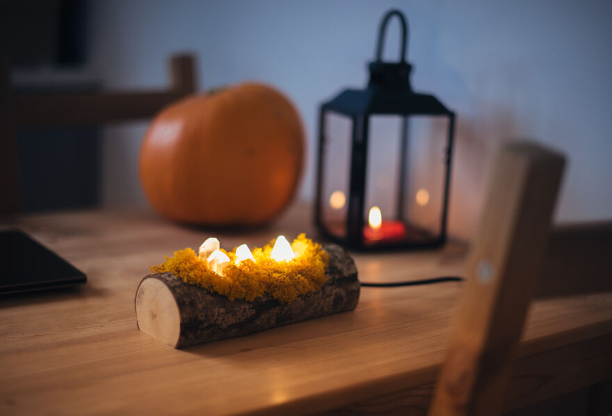 We Craft Unique Night Lamps From Glowing Crystals On Mossy Logs (23 Pics) We Craft Unique Night Lamps From Glowing Crystals On Mossy Logs (23 Pics)