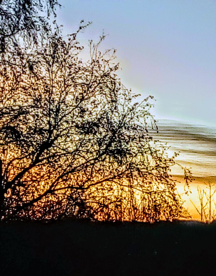 Ok I'm Only Twelve And My Cameras Really Bad But I'm Interested In Photography, So Here Goes :)