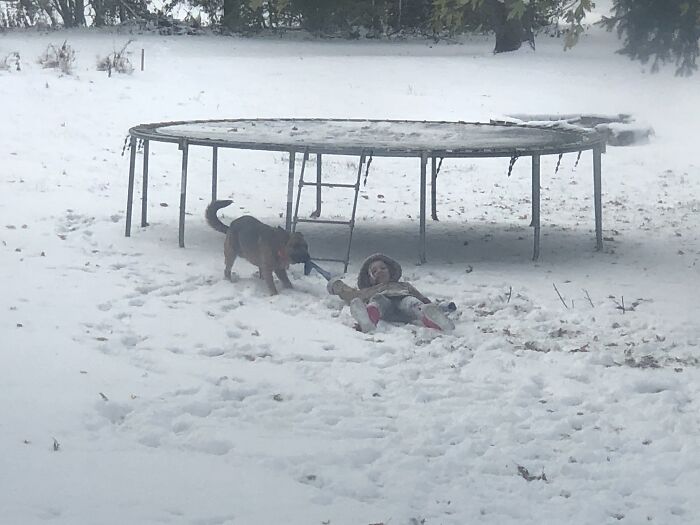 Good Old Nico Pulling Me Through The Snow