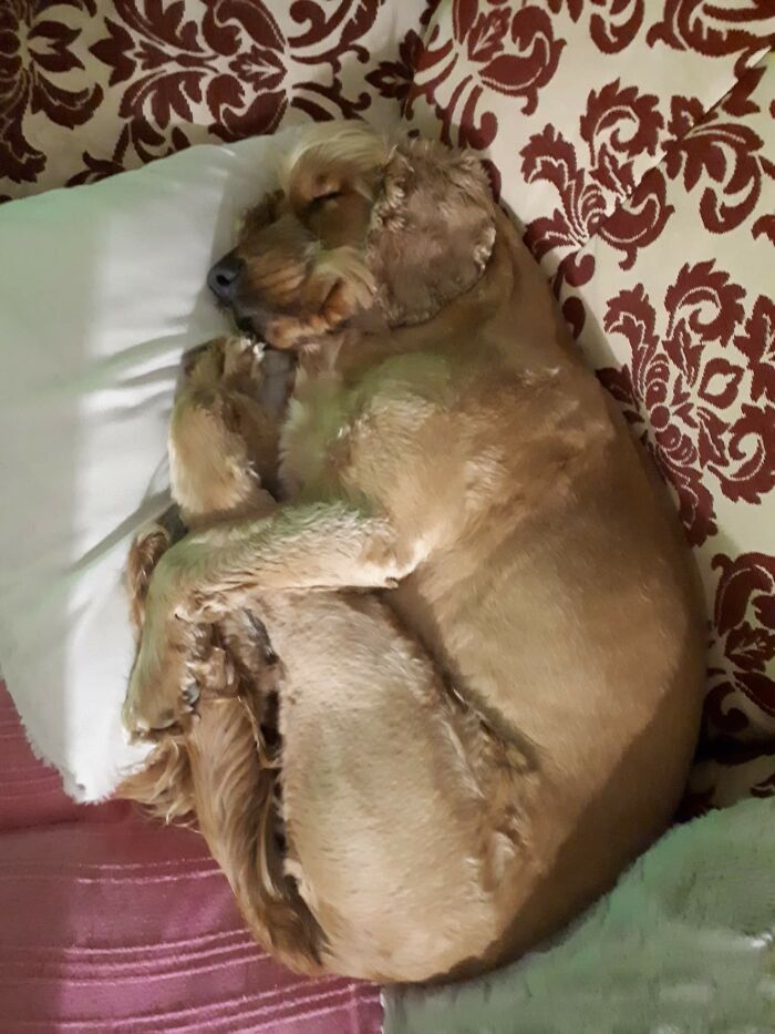 Marley - Must Hold Onto Own Legs