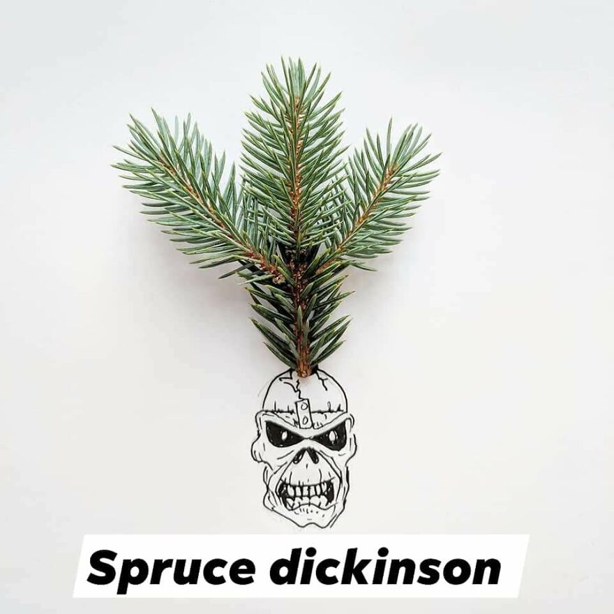 I Turn Famous Bruces Into Spruces (8 Pics)