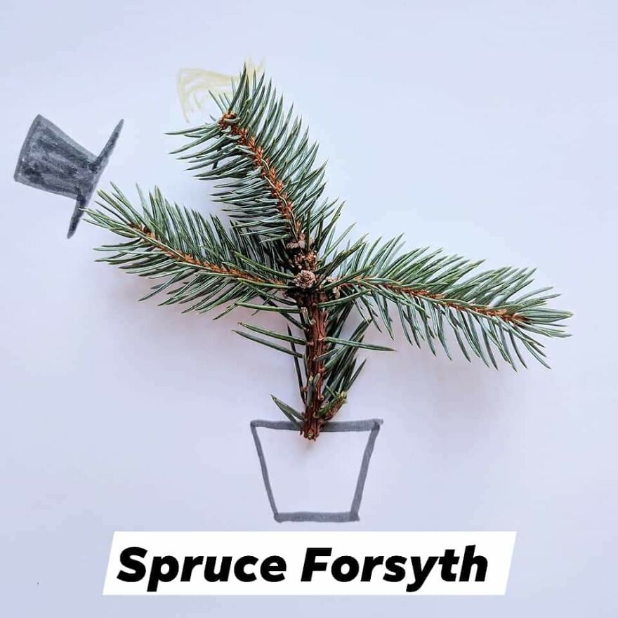 I Turn Famous Bruces Into Spruces (8 Pics)