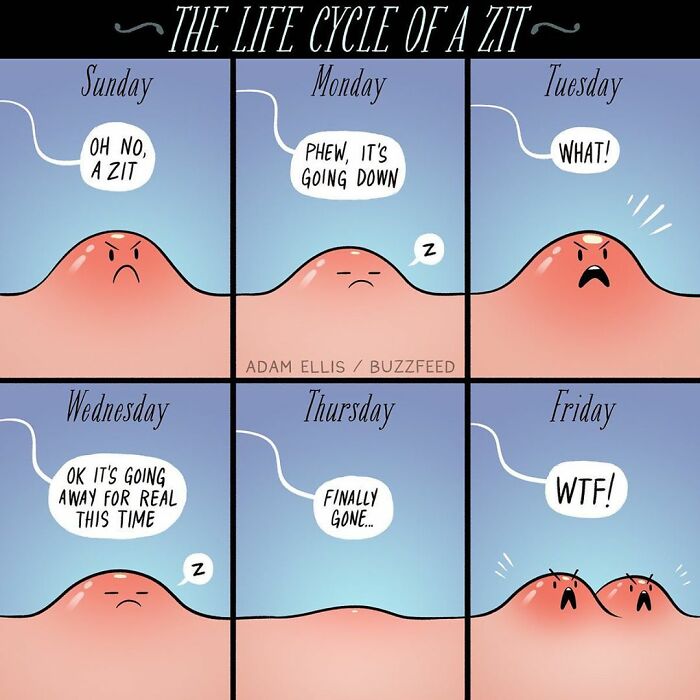 Funny Comics That Reveal Everyday Life With A Touch Of Humor By Adam Ellis