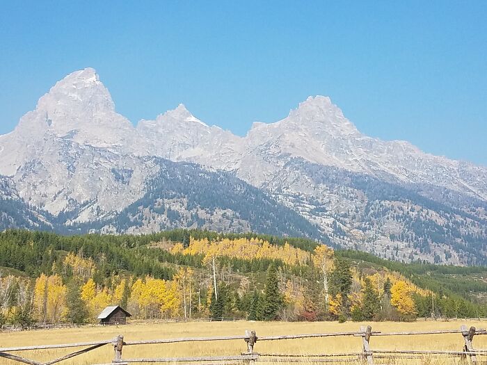 Autumn In Grand Teton National Park