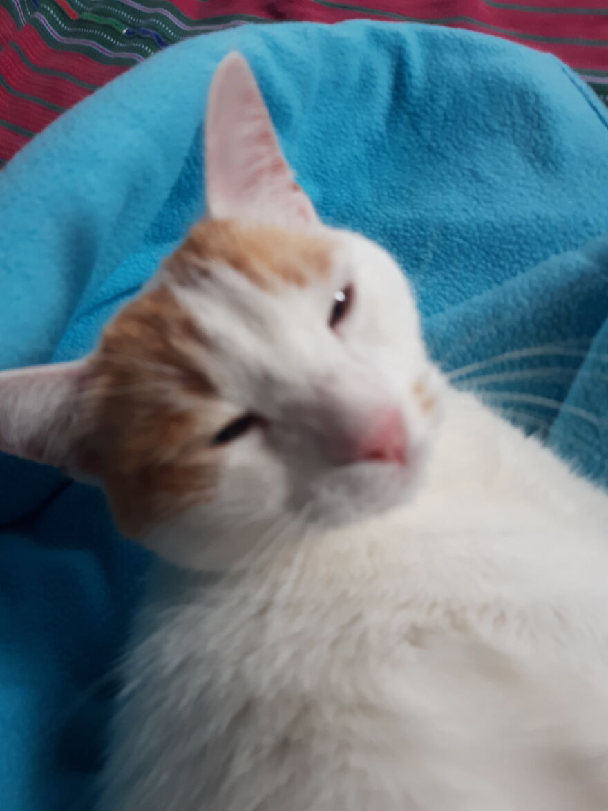 Hey Pandas, What Is The Scariest Thing That Has Ever Happened To You?