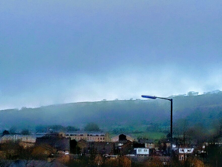 Hi, I Wanted To Share Some Of My Photos With You Pandas!