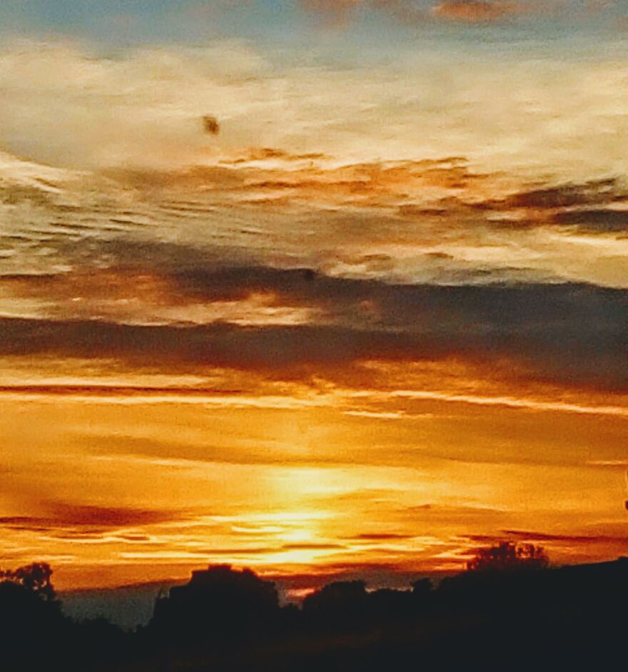 Hi, I Wanted To Share Some Of My Photos With You Pandas!