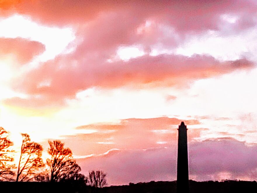 Hi, I Wanted To Share Some Of My Photos With You Pandas!