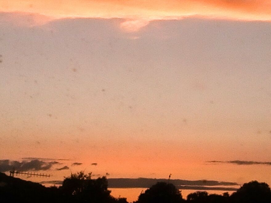 Hi, I Wanted To Share Some Of My Photos With You Pandas! Hi, I Wanted To Share Some Of My Photos With You Pandas!