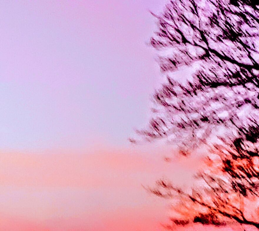 Hi, I Wanted To Share Some Of My Photos With You Pandas!