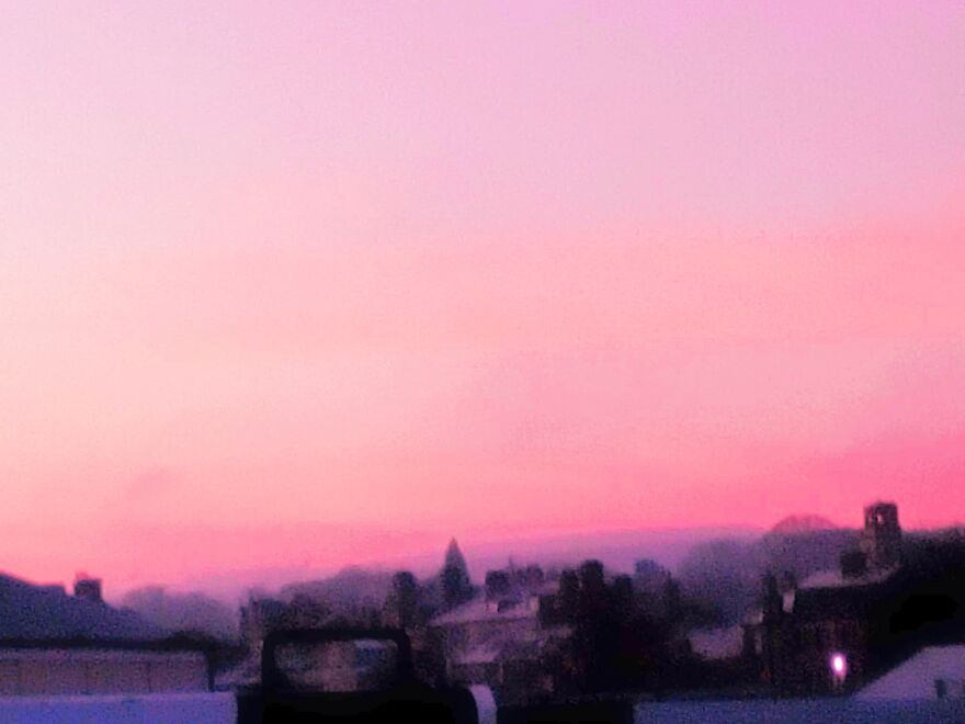 Hi, I Wanted To Share Some Of My Photos With You Pandas!