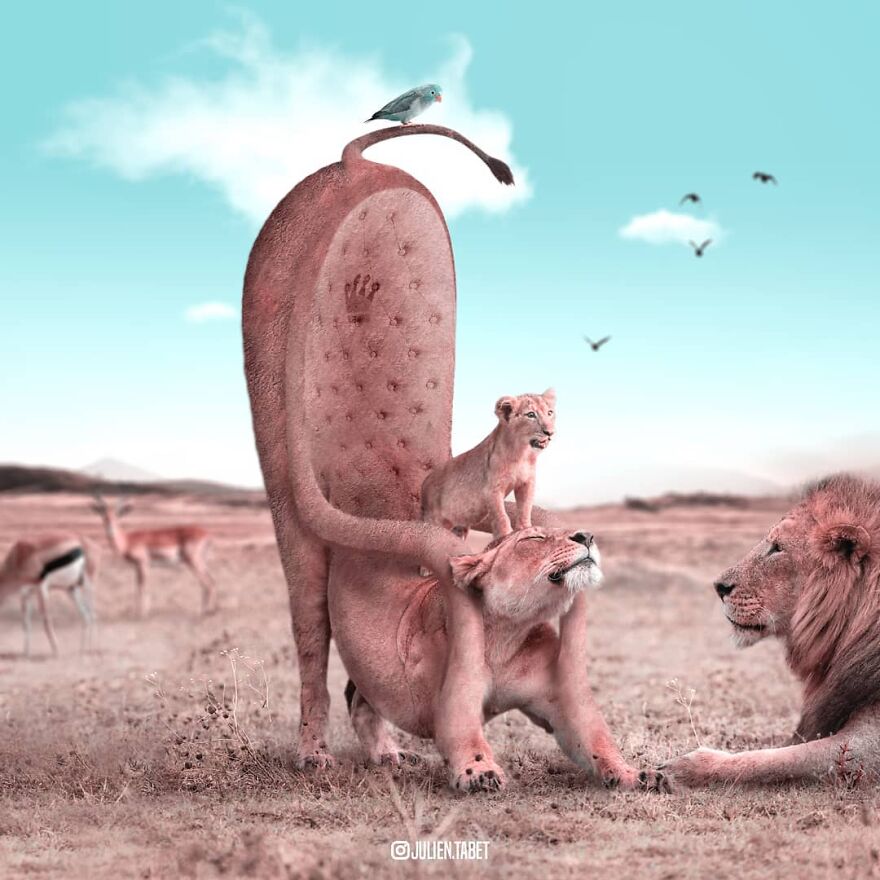 The New Game Of Thrones