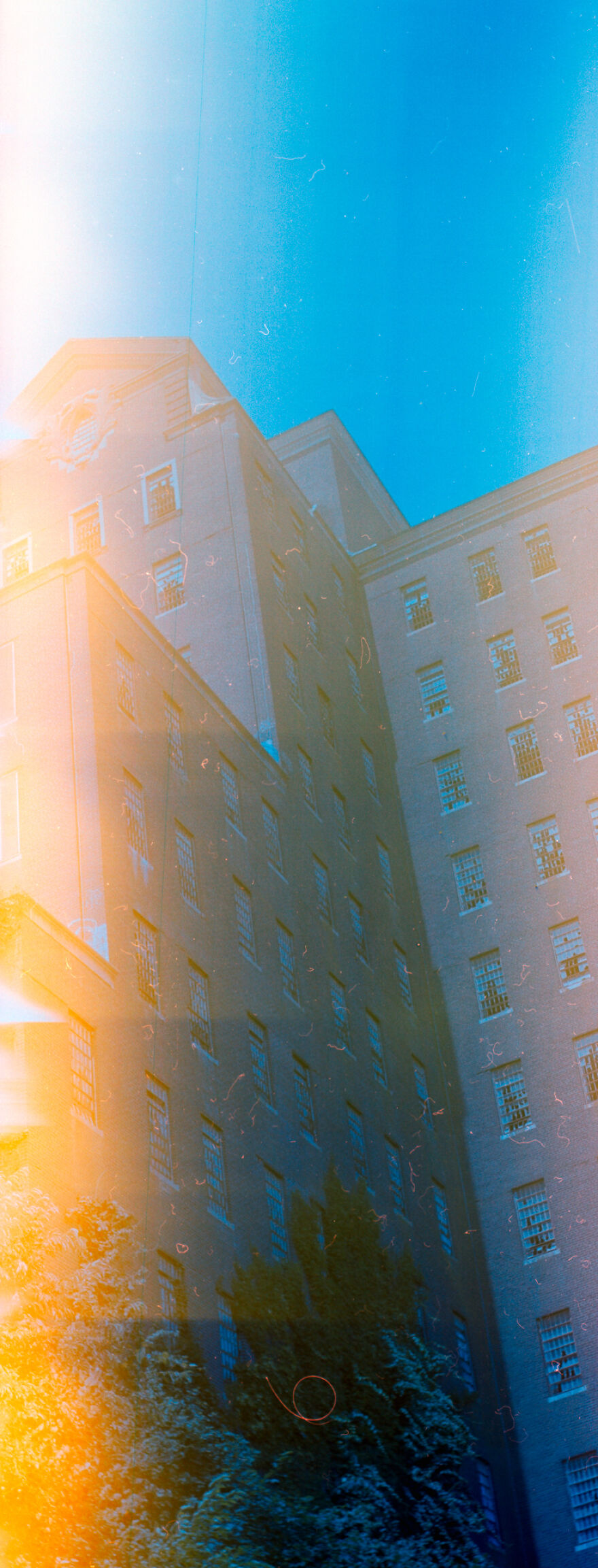 I Take Photographs With A 117-Year-Old Camera