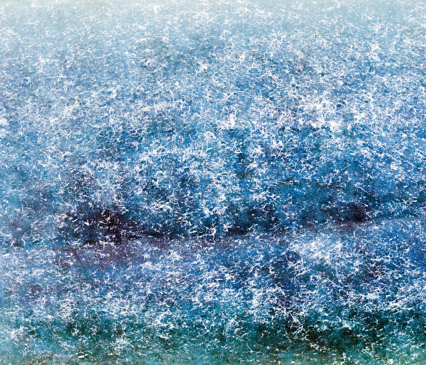 I Take Photographs With A 117-Year-Old Camera