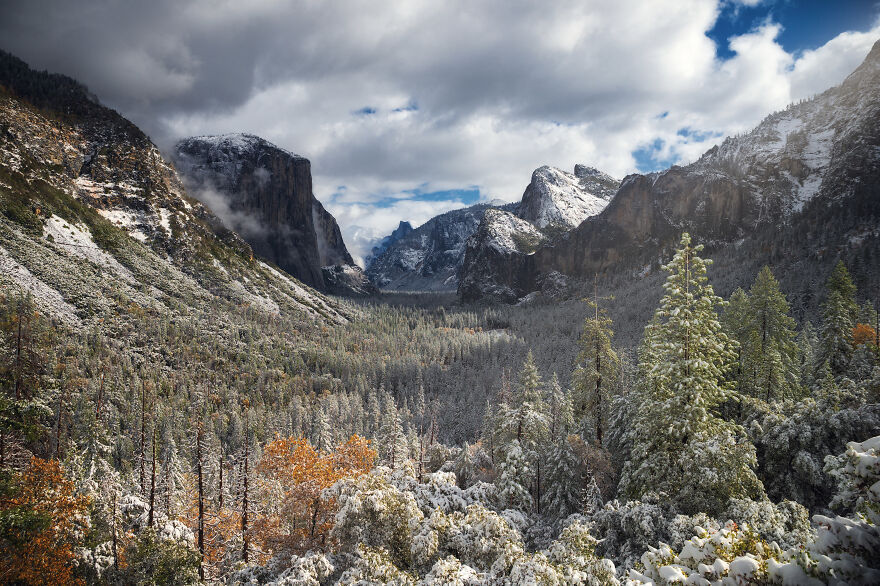 I Drove For 9 Hours (Round Trip) To Capture Fresh Snow And Fall Colors In Yosemite National Park In California I Drove For 9 Hours (Round Trip) To Capture Fresh Snow And Fall Colors In Yosemite National Park In California
