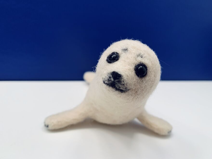 Baby Seal