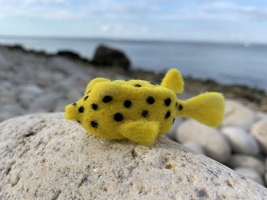 Tiny Needle Felted Boxfish