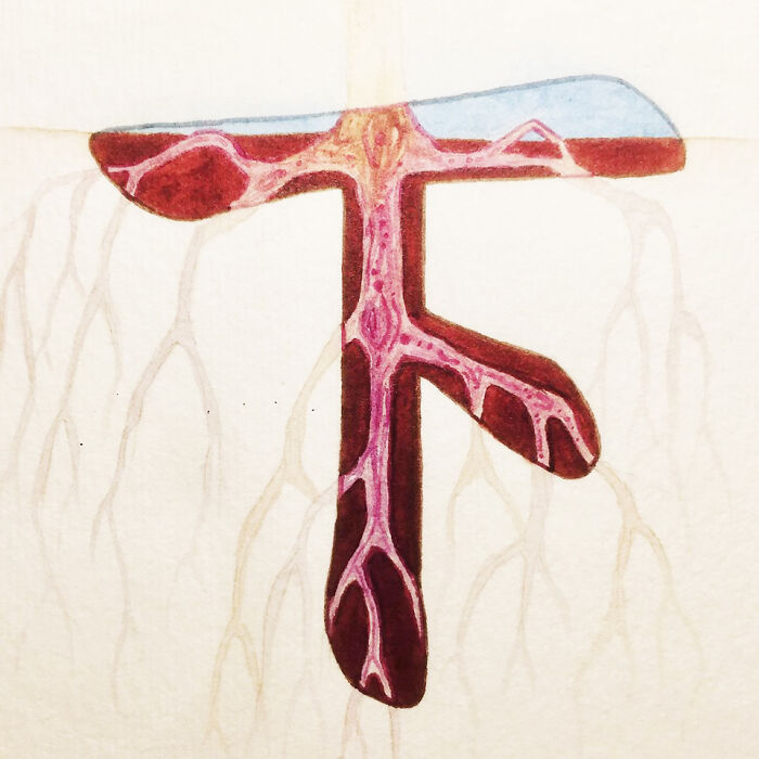 上 (Xià) Down; Below