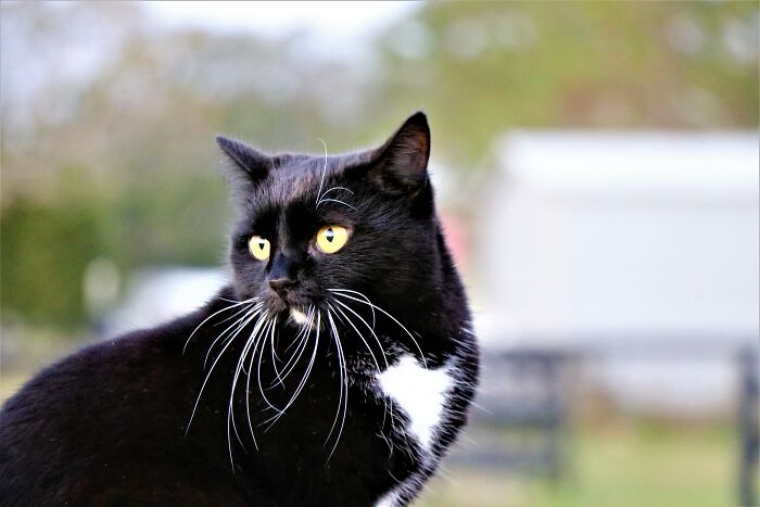 Stormy, Poised And Curious
