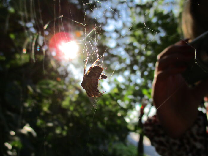 I'm By No Means A Professional Photographer It's Just A Picture I Took In My Photography Class.