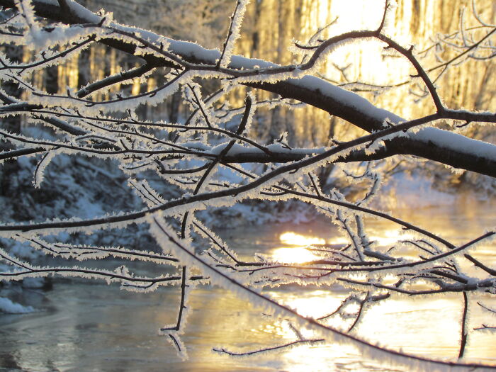 Winter Morning Light