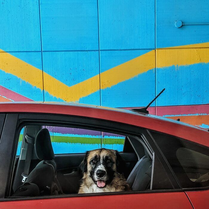 Looked Over While Stuck In Traffic And It Made My Day....