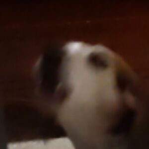 seth-edward-manuel avatar