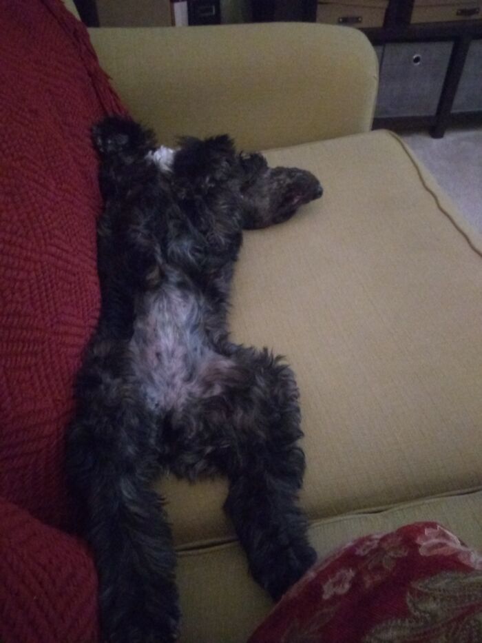 My Baby Girl Sleeps Like That.