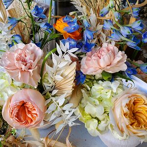 melodie_hutmacher avatar