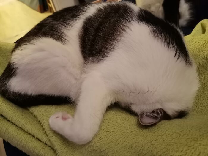 Bury Your Head In The Sand