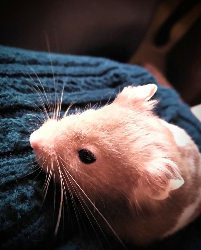 I Was Really Proud Of This. Houdini