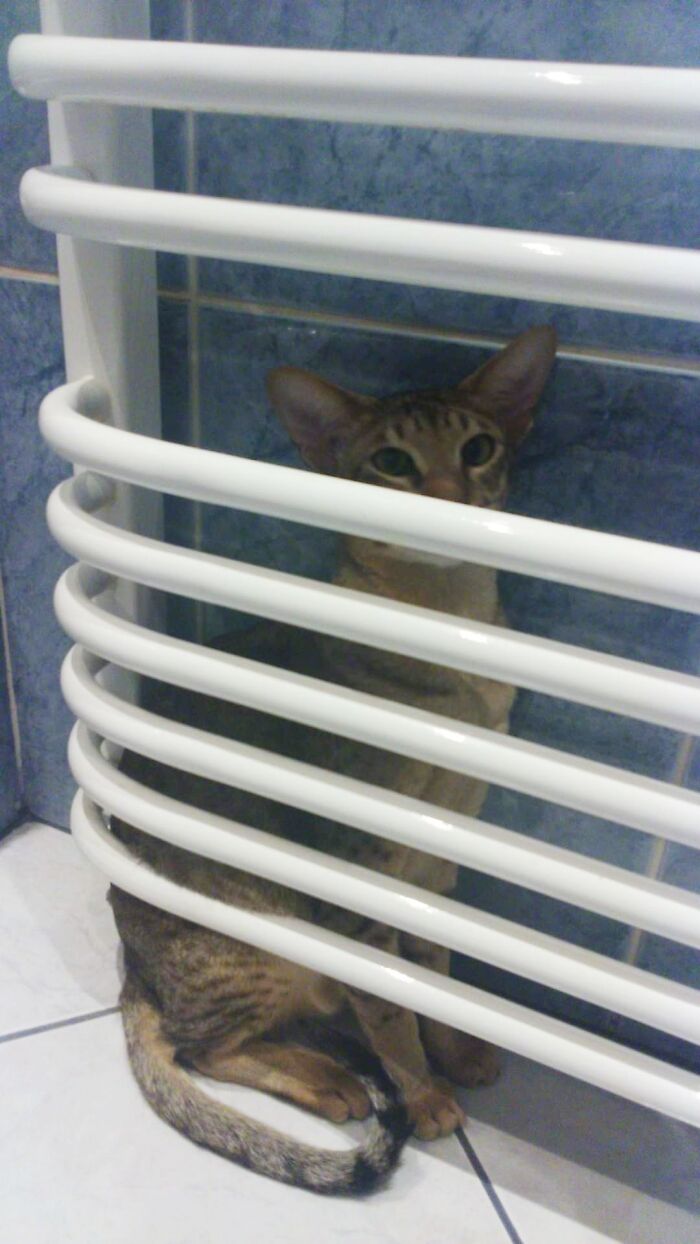 It Was A Cold Day...