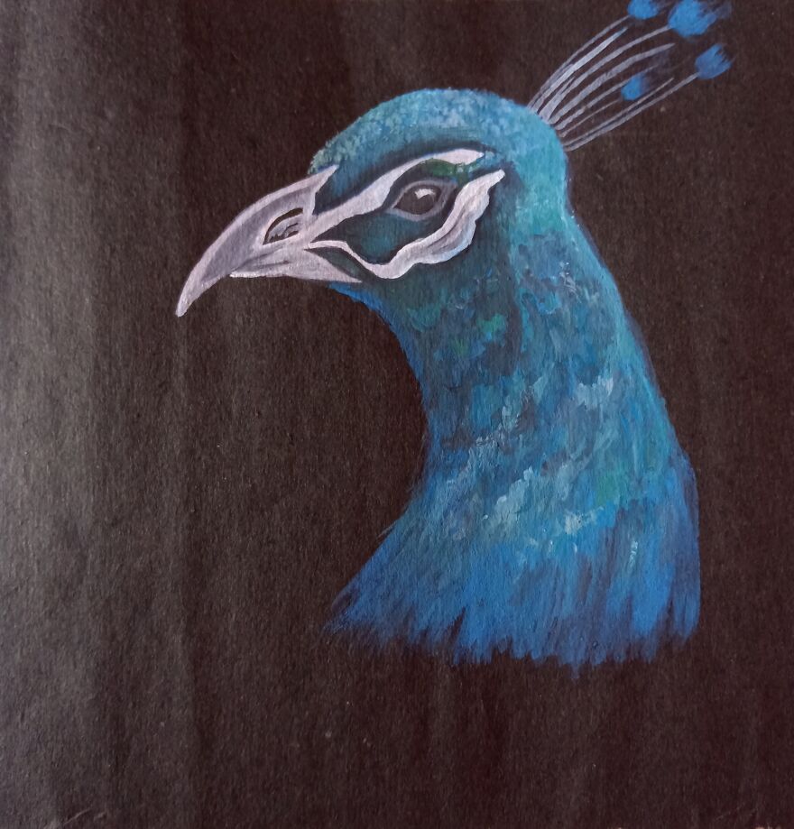 During The Lockdown I Created Many Drawings On Nature. And Here Are The Best Ones